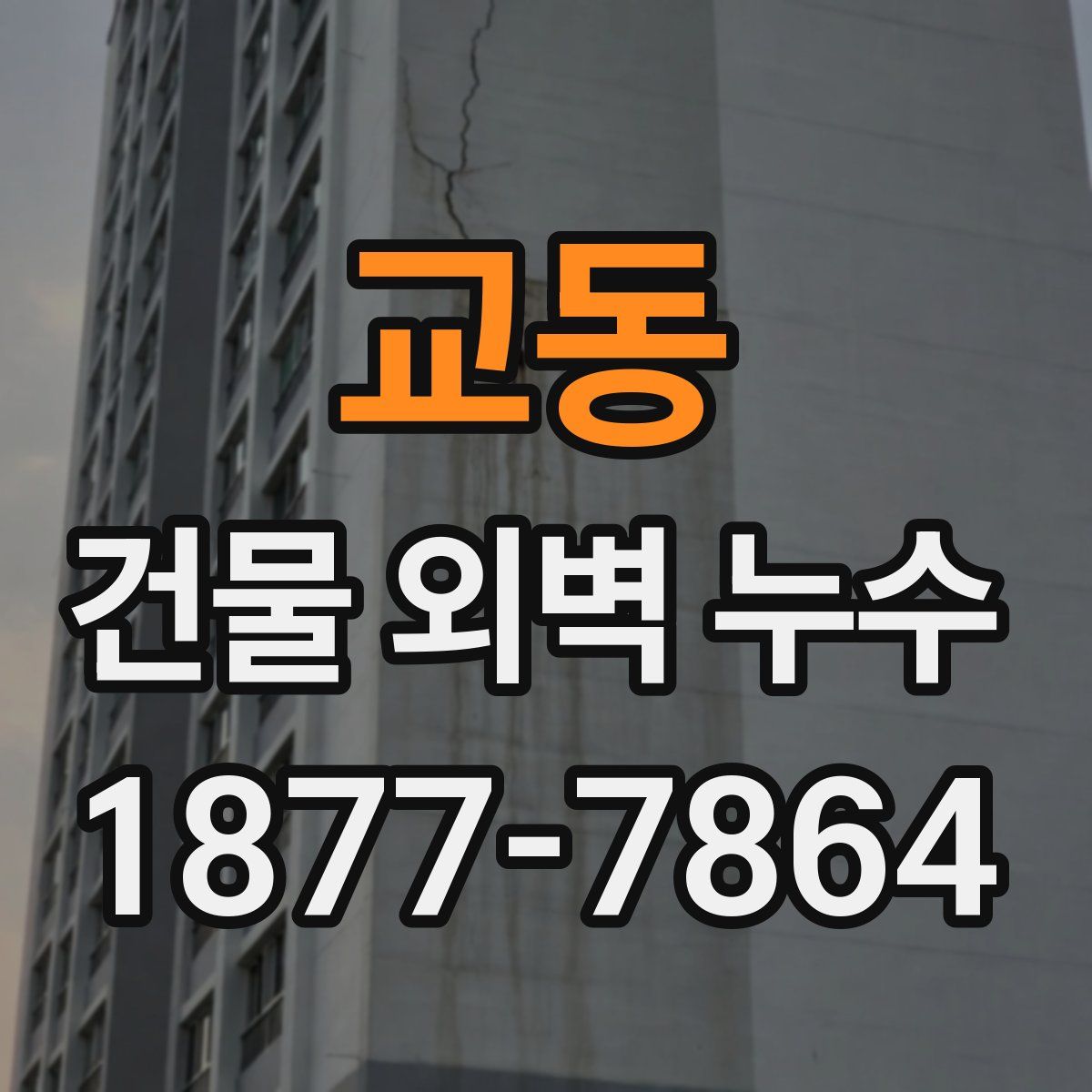 교동 건물 외벽 누수