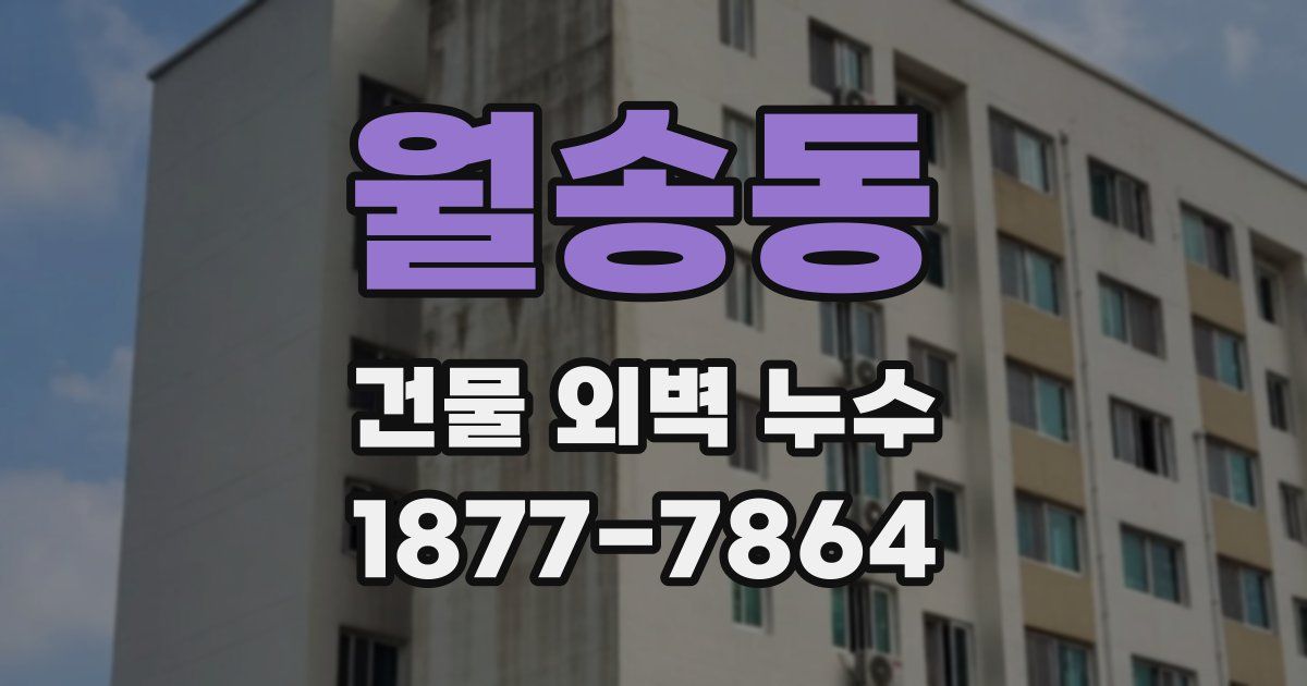월송동 건물 외벽 누수
