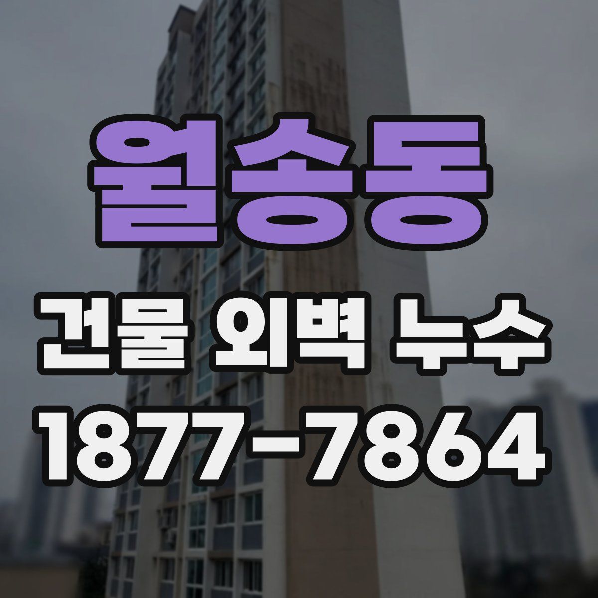 월송동 건물 외벽 누수