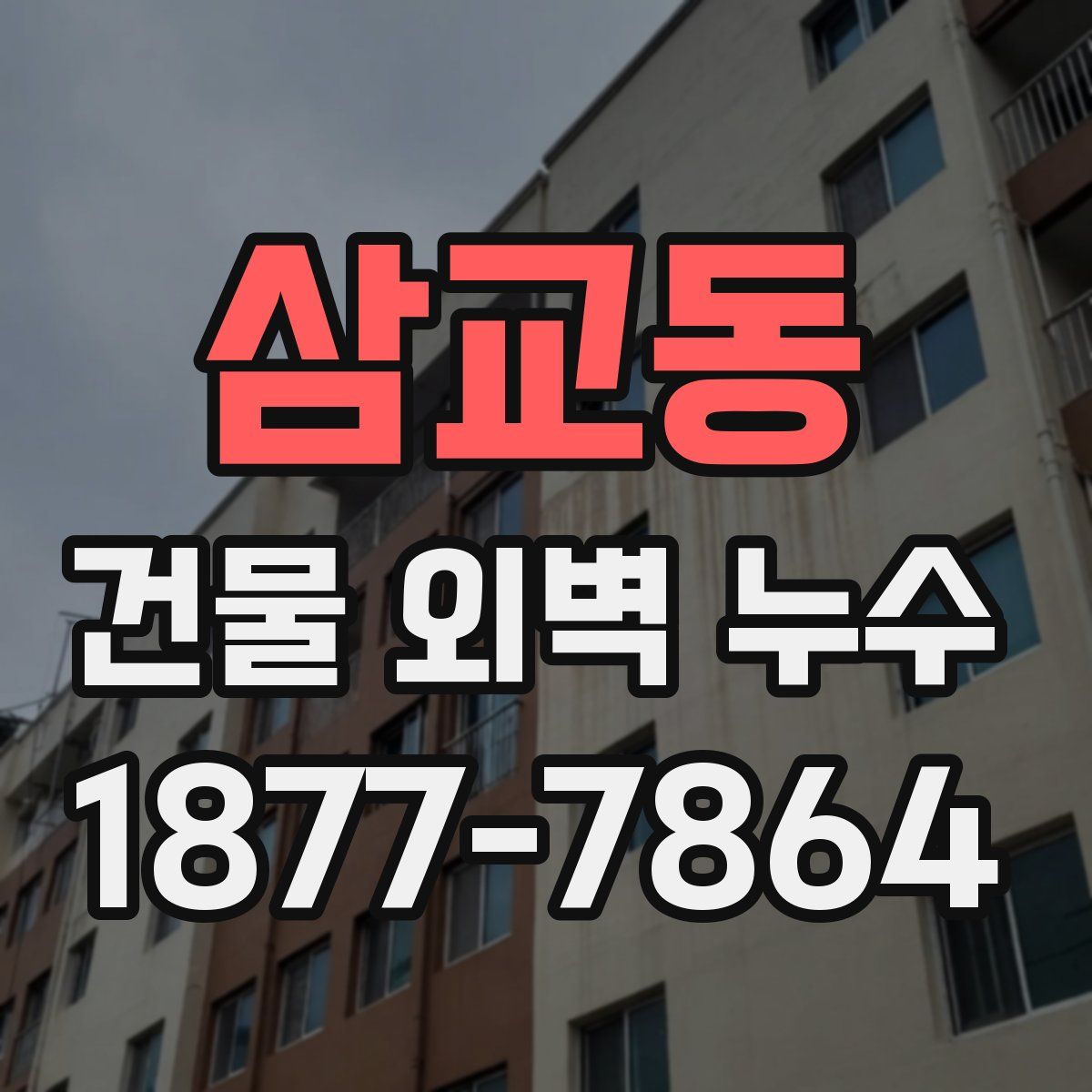 삼교동 건물 외벽 누수