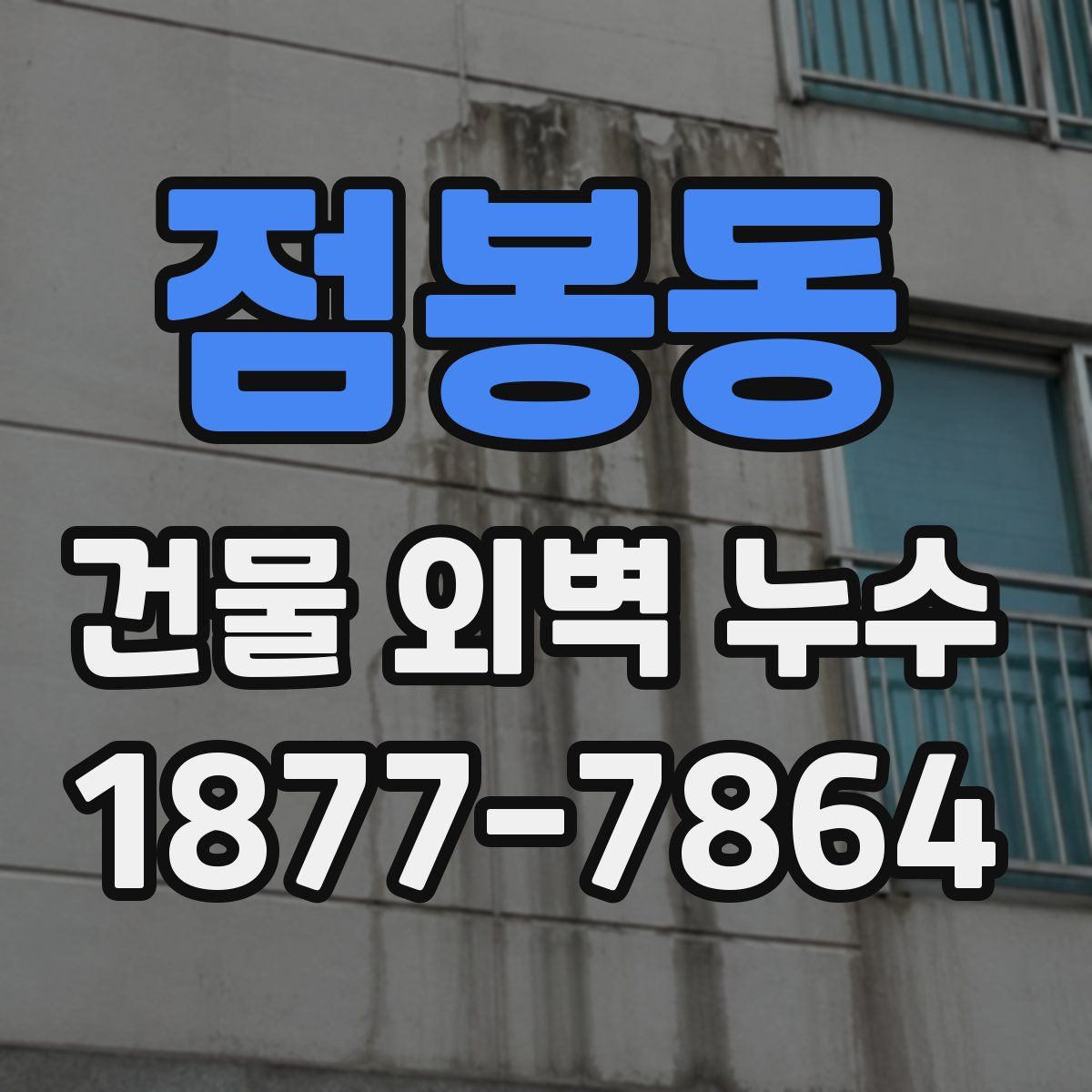 점봉동 건물 외벽 누수