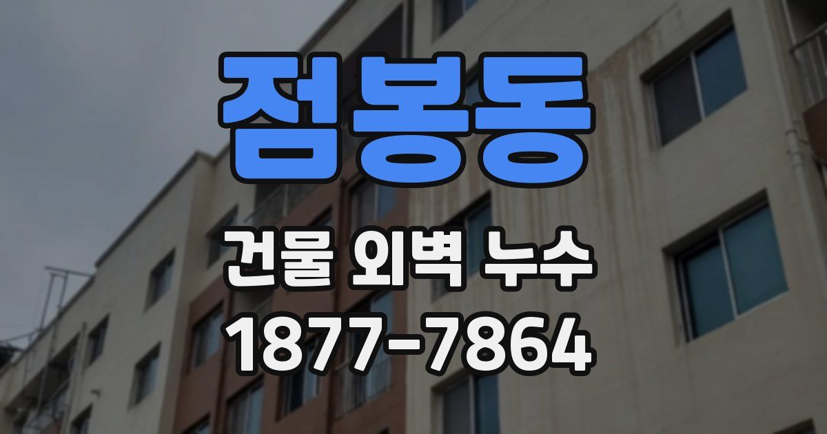 점봉동 건물 외벽 누수