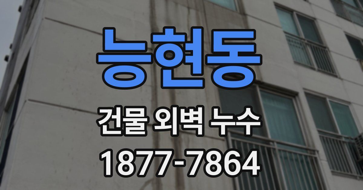 능현동 건물 외벽 누수