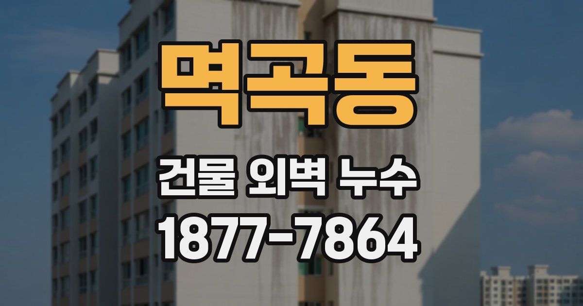 멱곡동 건물 외벽 누수