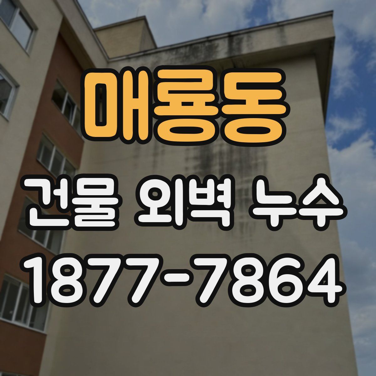 매룡동 건물 외벽 누수