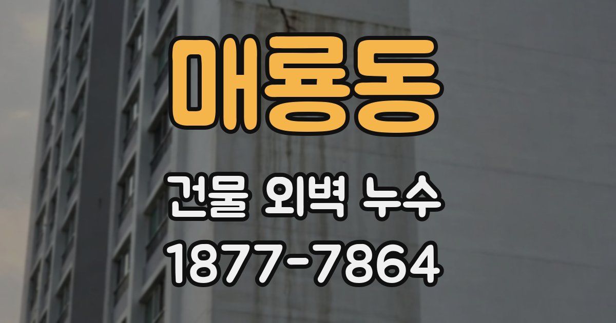 매룡동 건물 외벽 누수