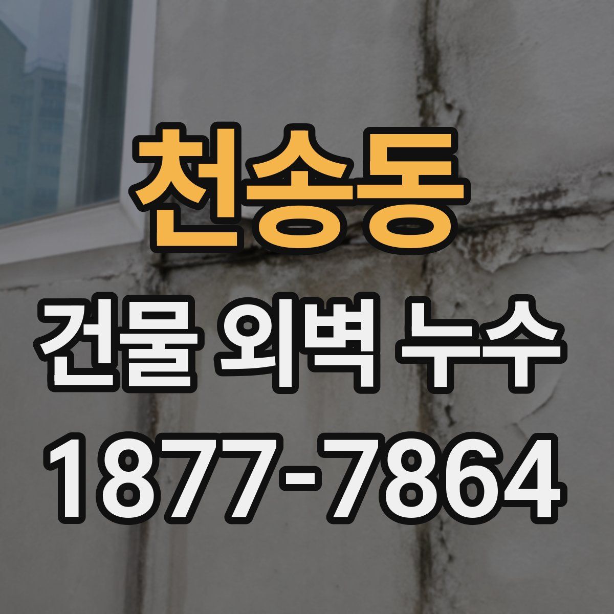 천송동 건물 외벽 누수