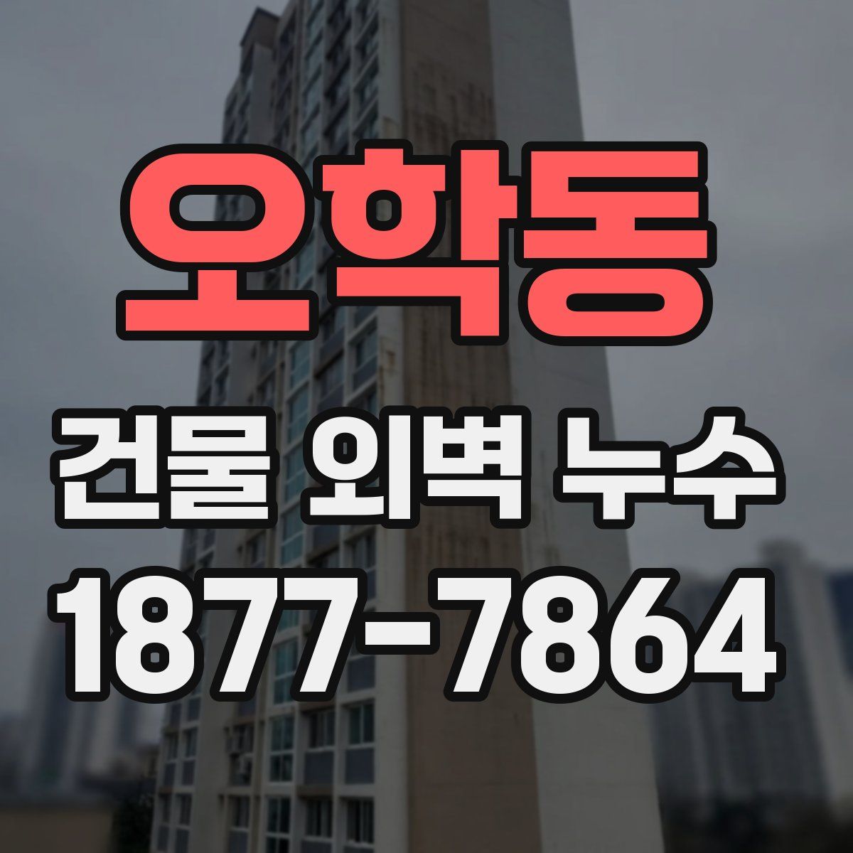 오학동 건물 외벽 누수