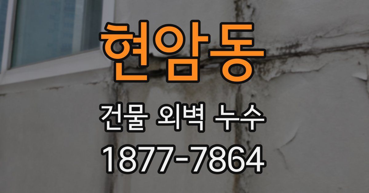 현암동 건물 외벽 누수
