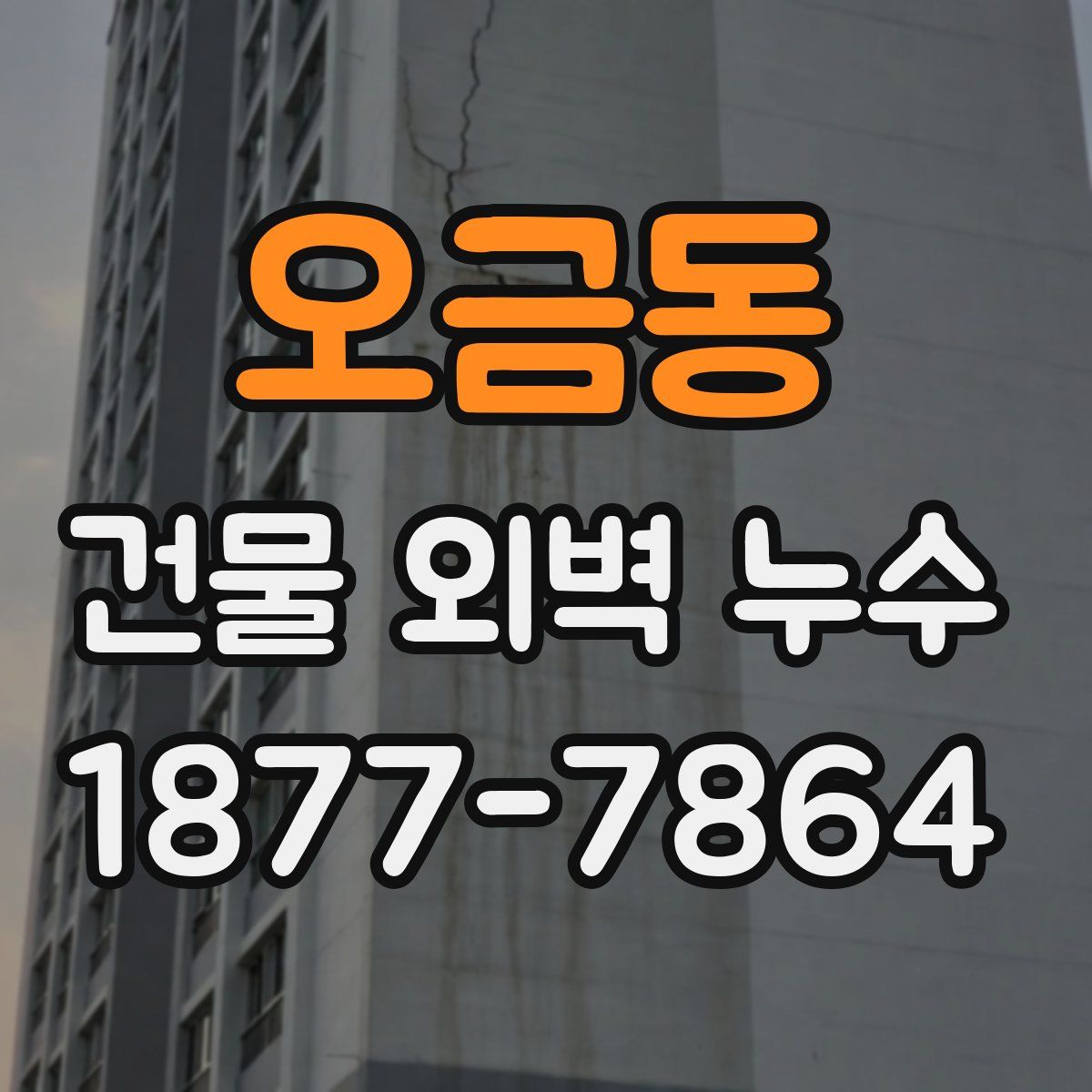오금동 건물 외벽 누수