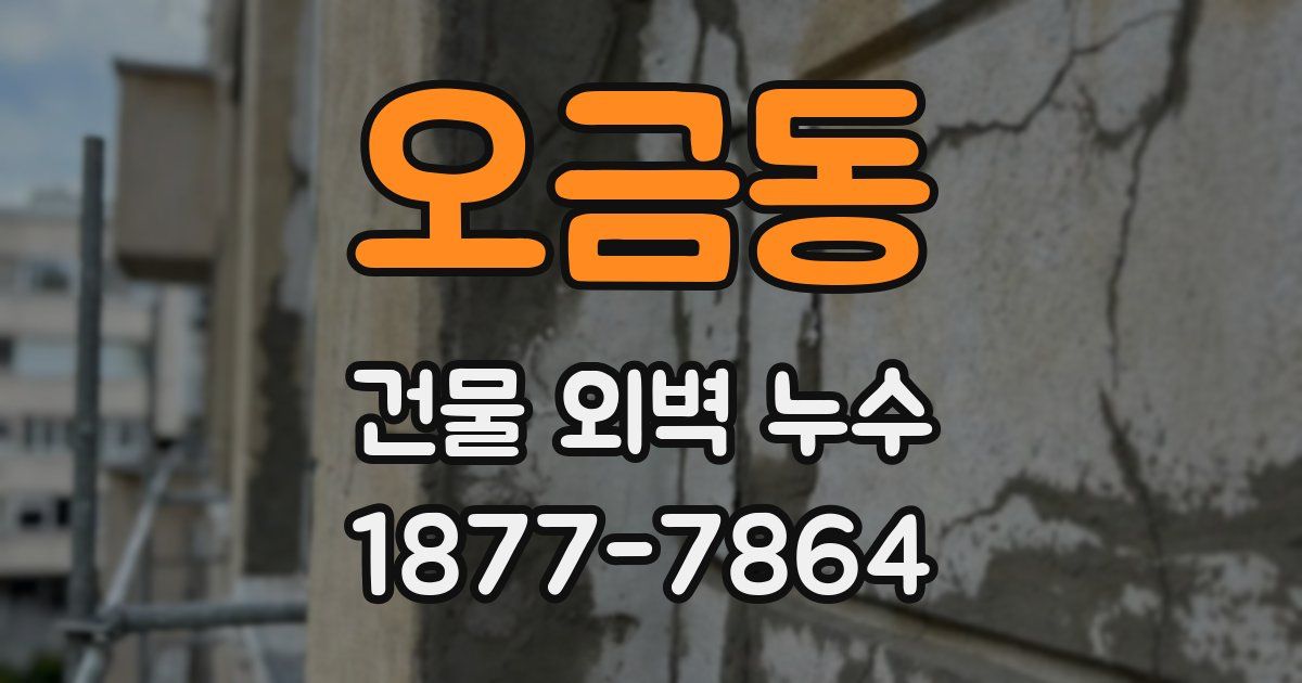 오금동 건물 외벽 누수