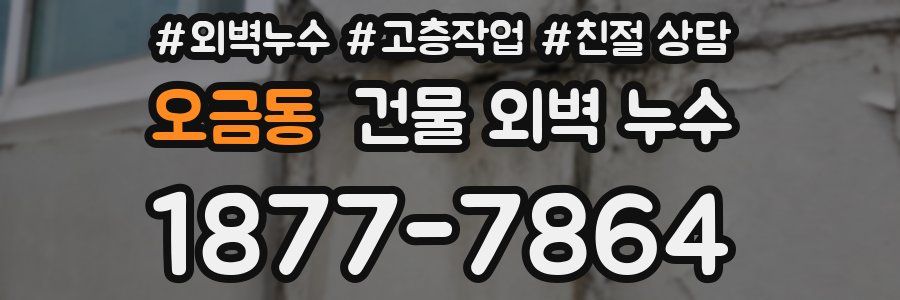 오금동 건물 외벽 누수
