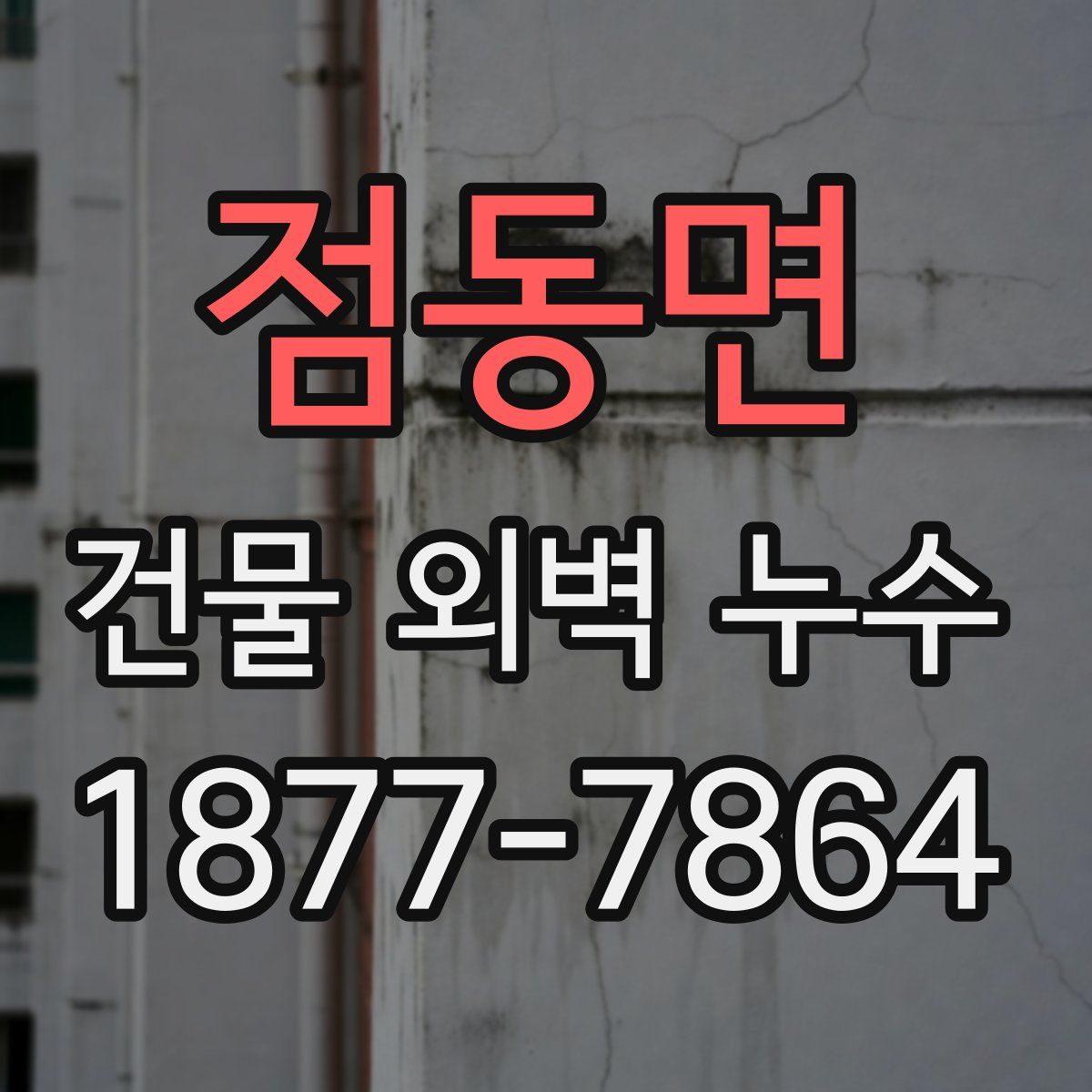 점동면 건물 외벽 누수