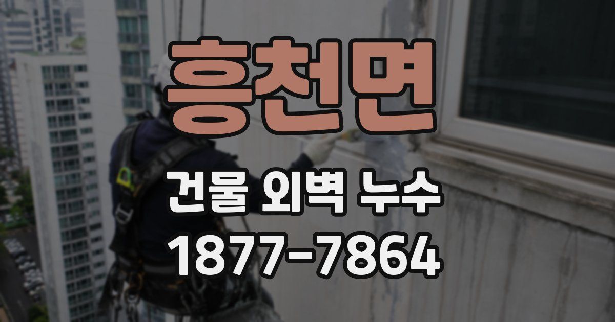 흥천면 건물 외벽 누수