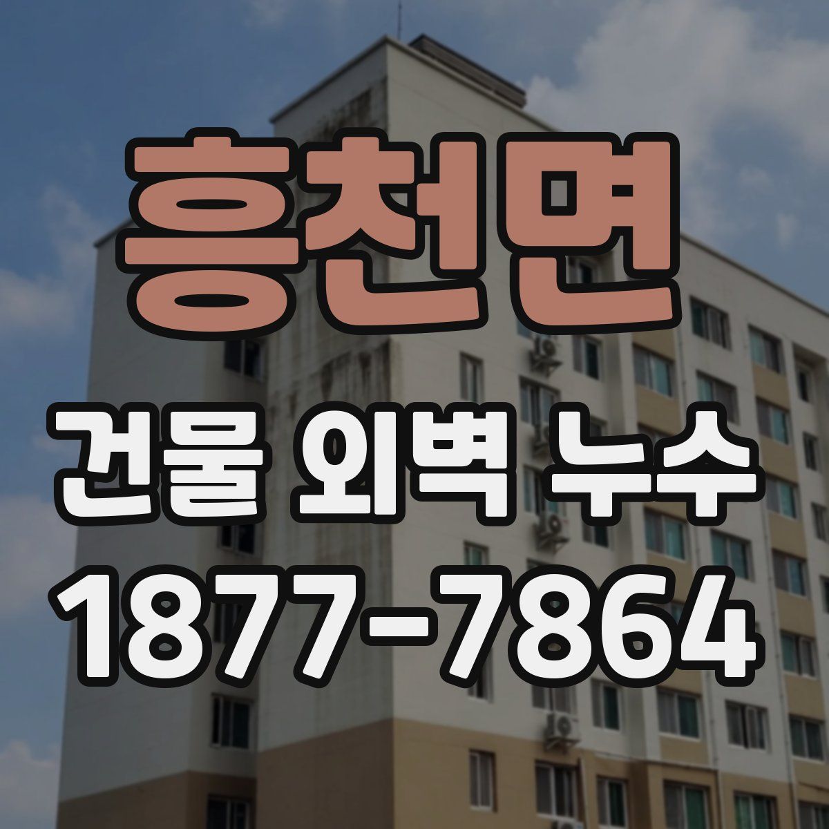 흥천면 건물 외벽 누수