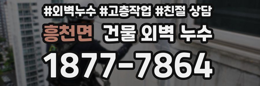 흥천면 건물 외벽 누수