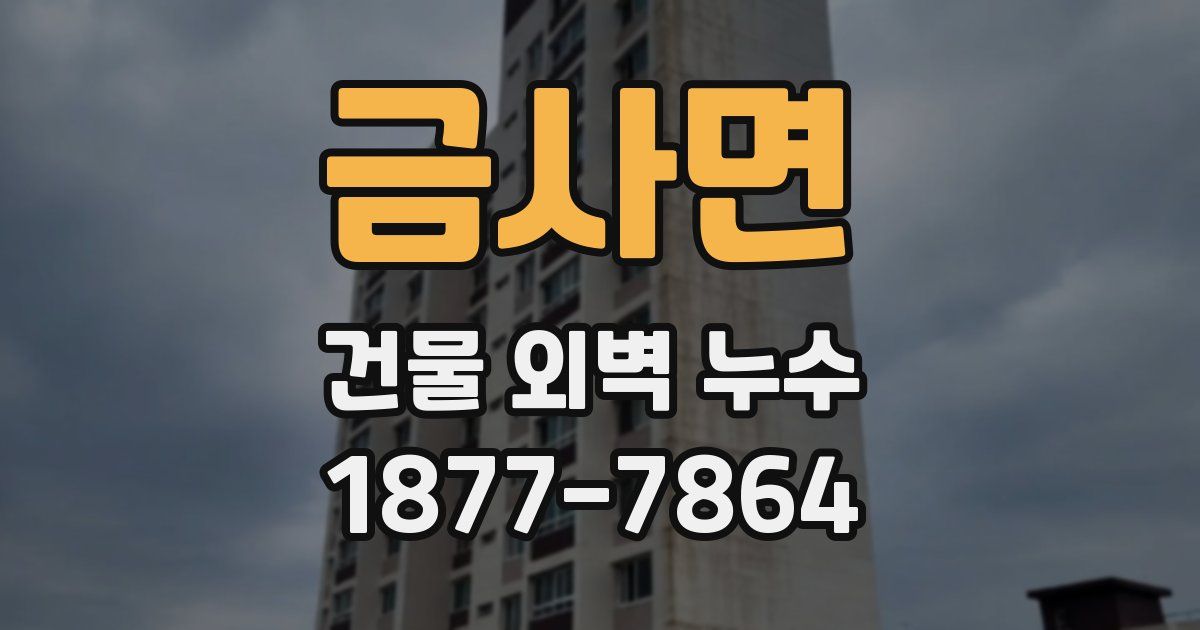 금사면 건물 외벽 누수