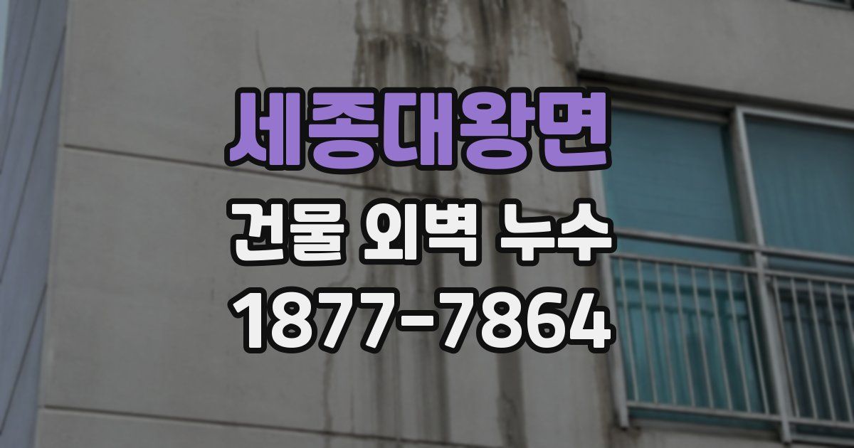 세종대왕면 건물 외벽 누수