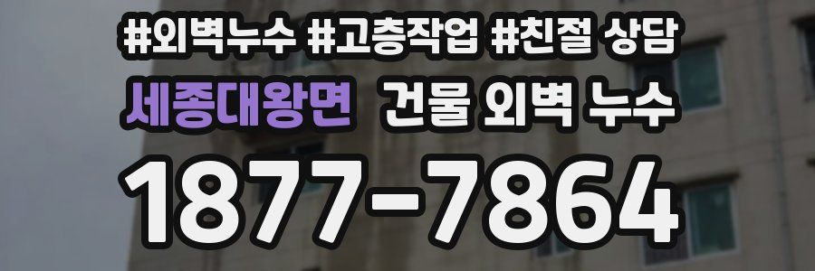 세종대왕면 건물 외벽 누수