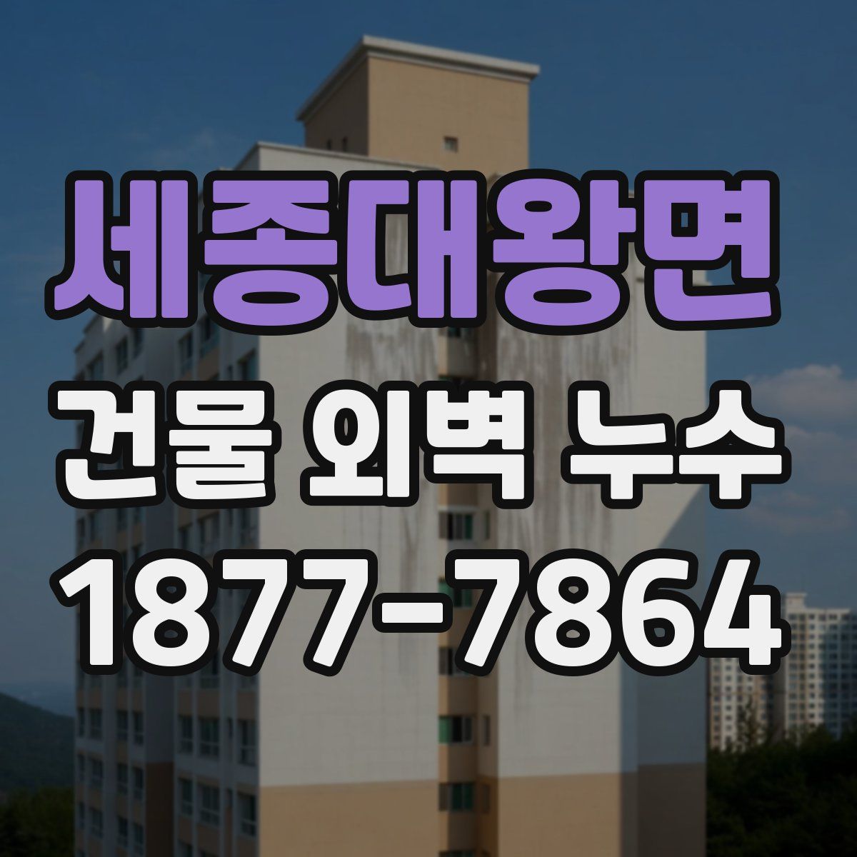 세종대왕면 건물 외벽 누수
