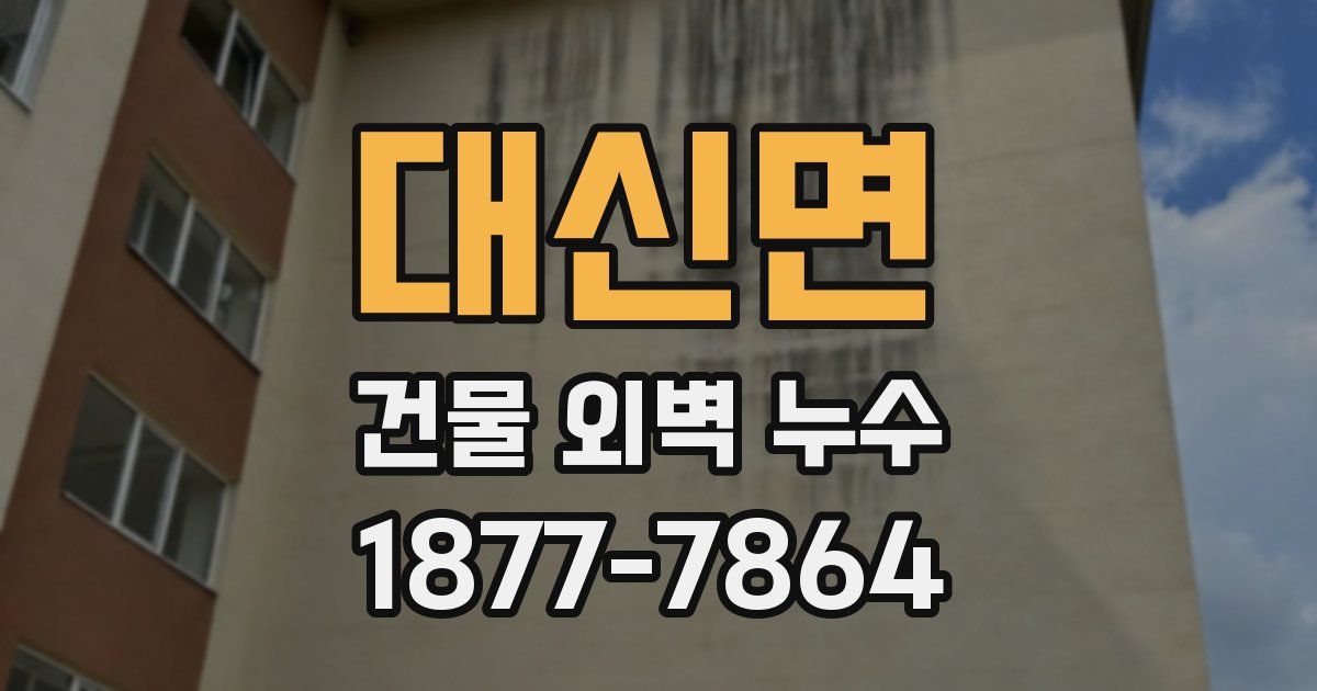대신면 건물 외벽 누수