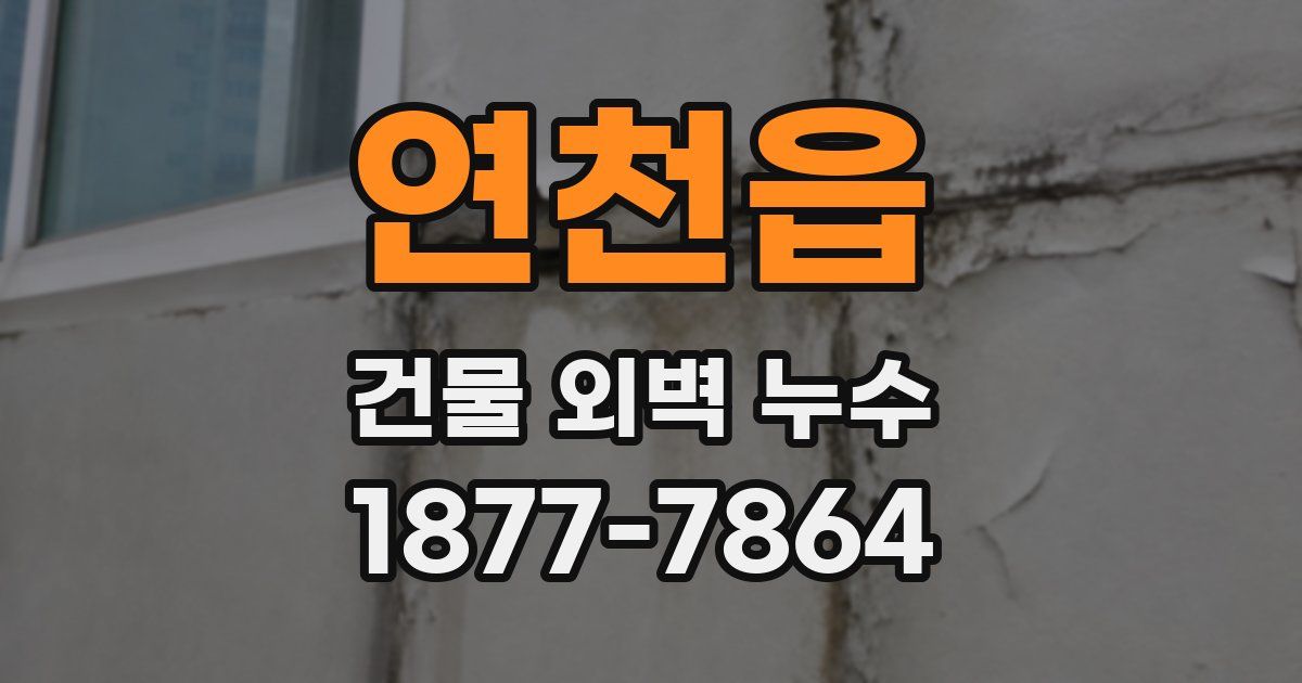 연천읍 건물 외벽 누수