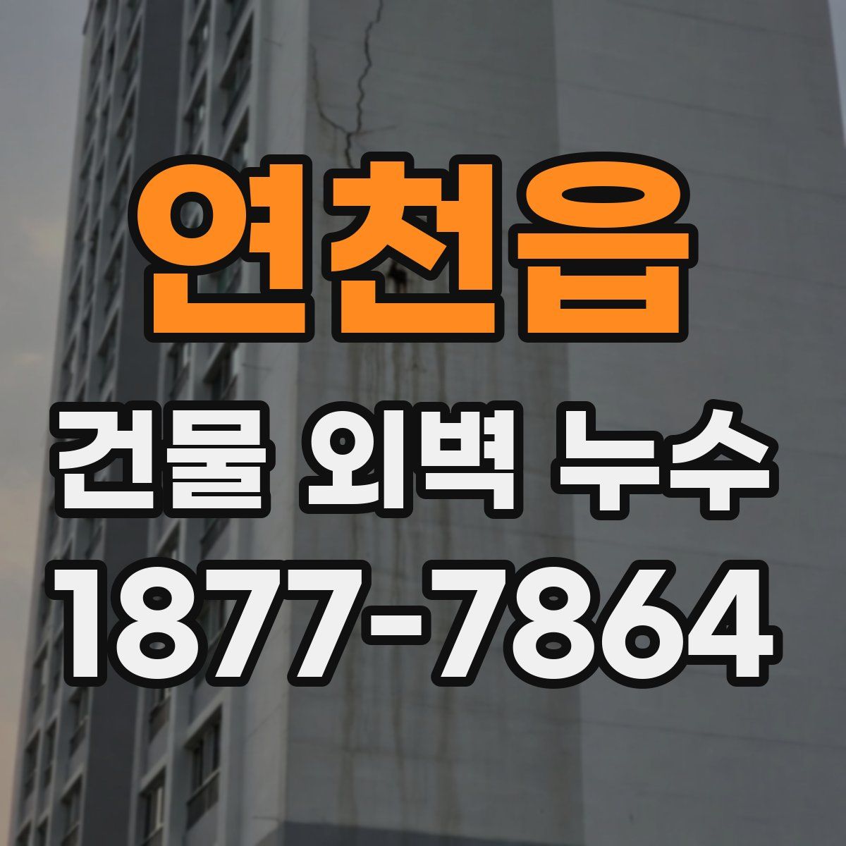 연천읍 건물 외벽 누수