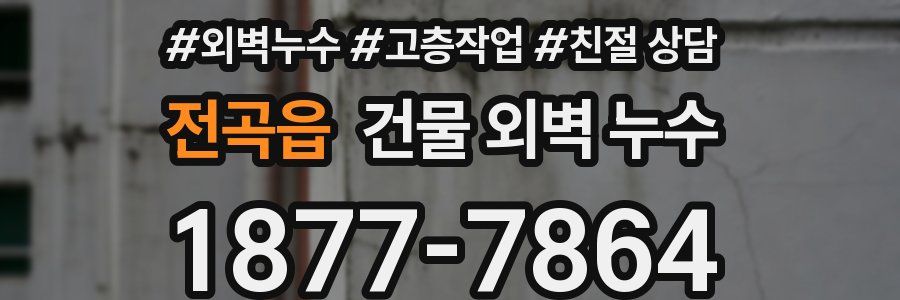 전곡읍 건물 외벽 누수