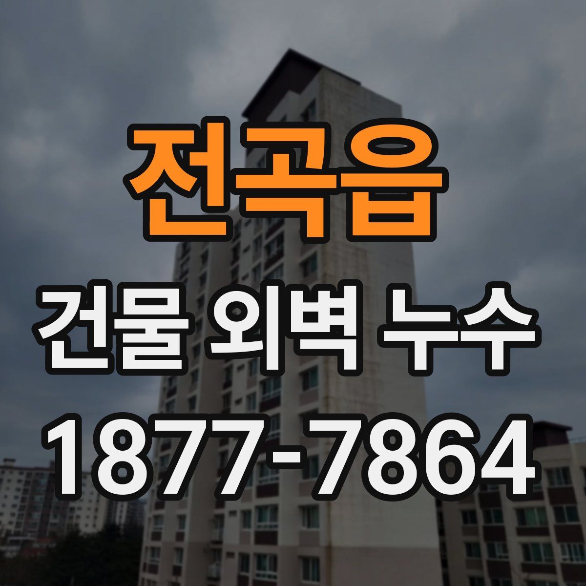 전곡읍 건물 외벽 누수
