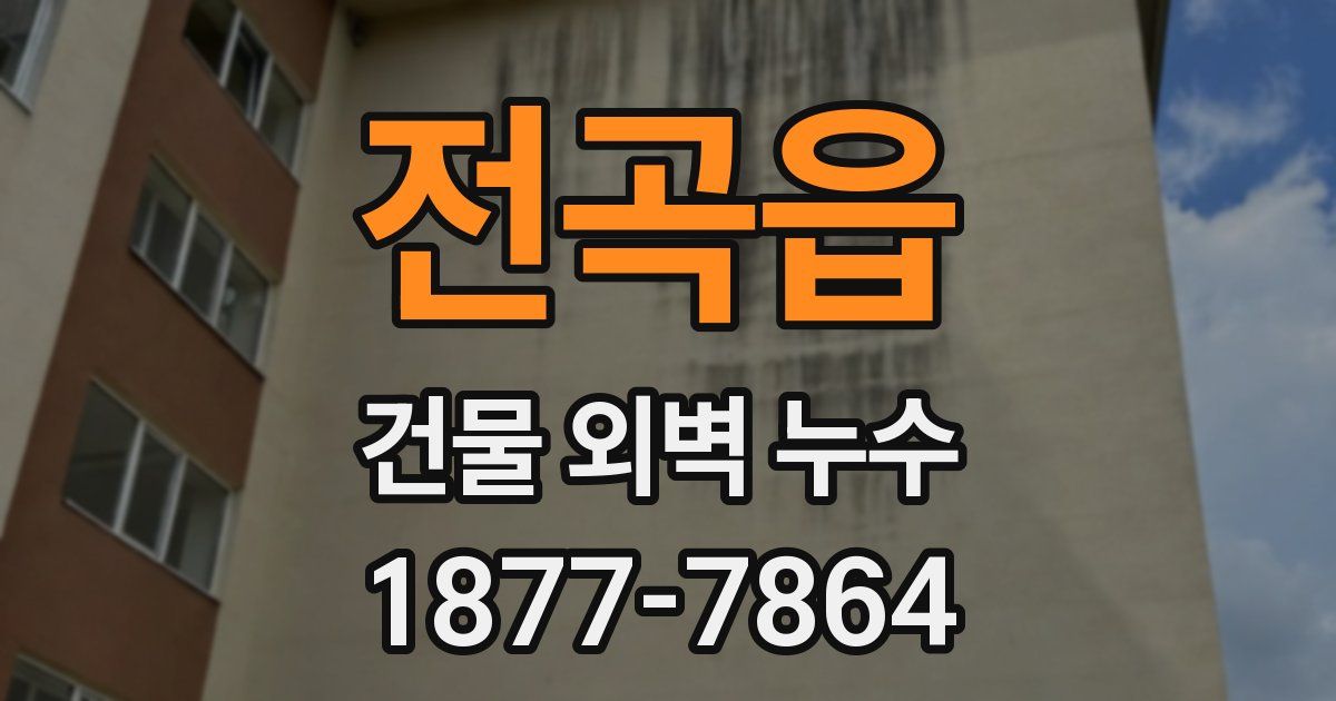 전곡읍 건물 외벽 누수