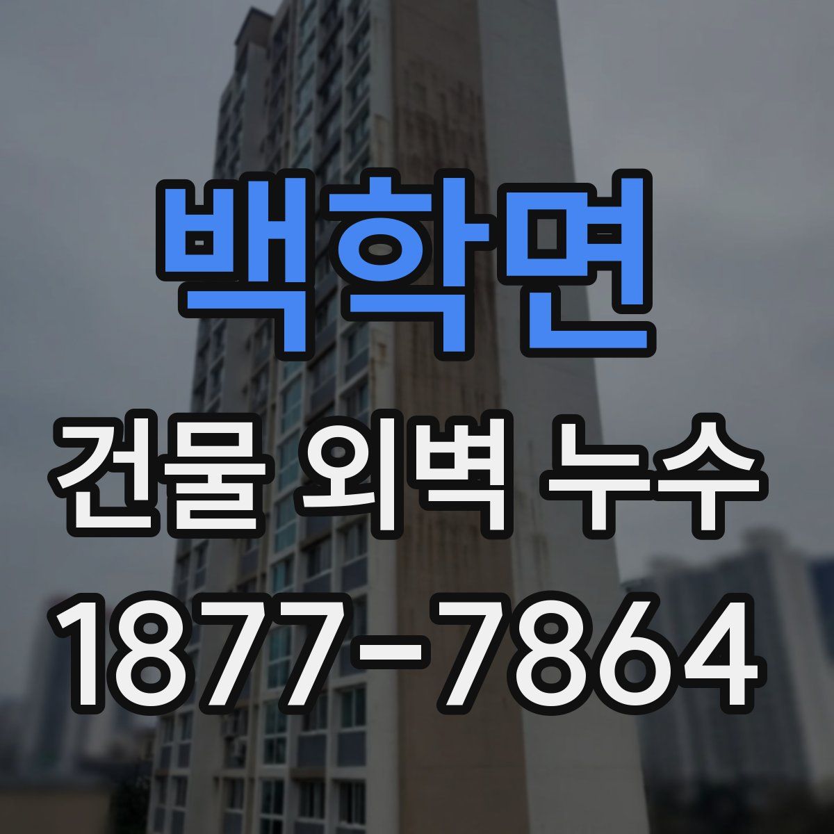 백학면 건물 외벽 누수