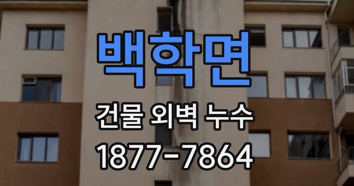 백학면 건물 외벽 누수