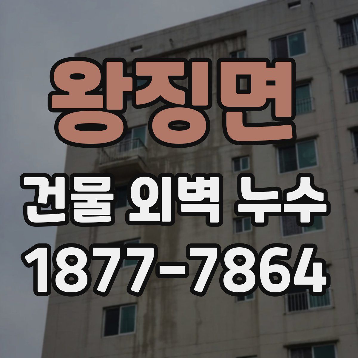 왕징면 건물 외벽 누수