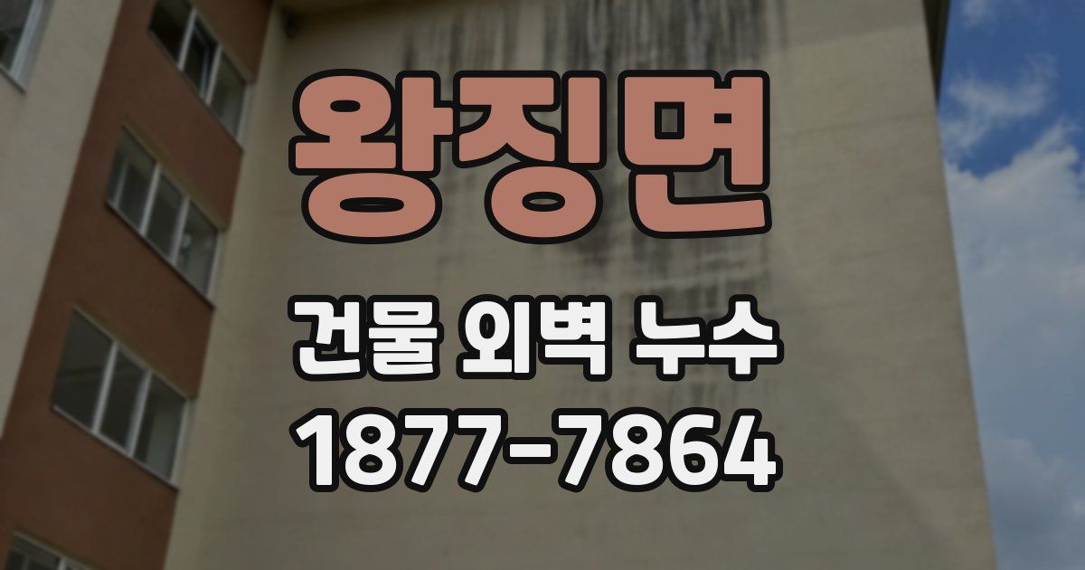 왕징면 건물 외벽 누수
