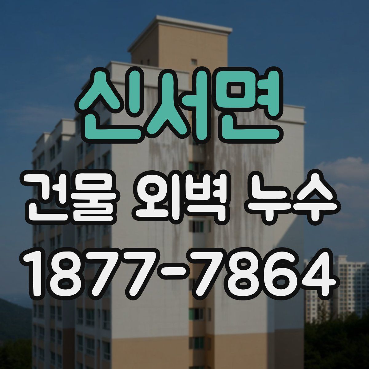 신서면 건물 외벽 누수