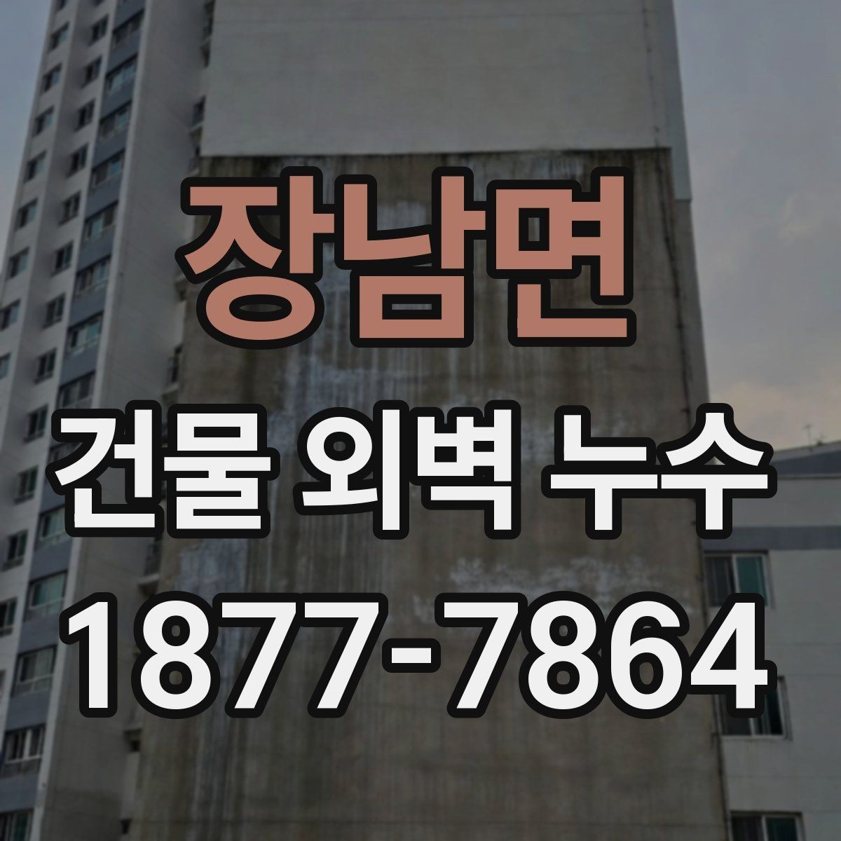 장남면 건물 외벽 누수 해결을 위한 단계별 접근