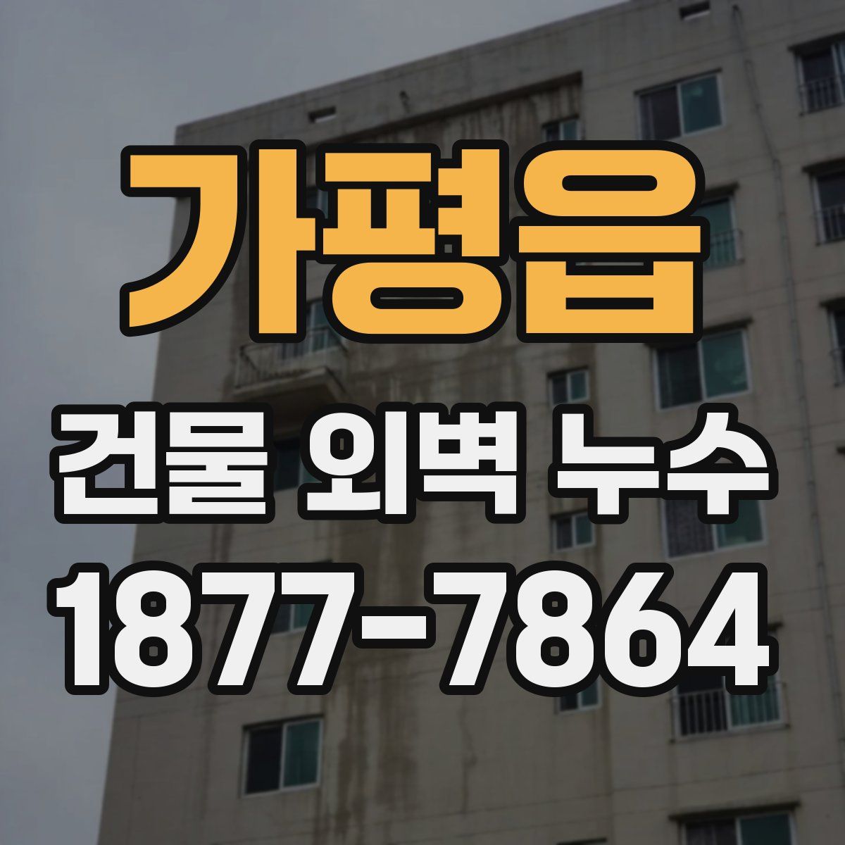 가평읍 건물 외벽 누수