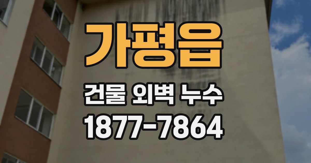 가평읍 건물 외벽 누수