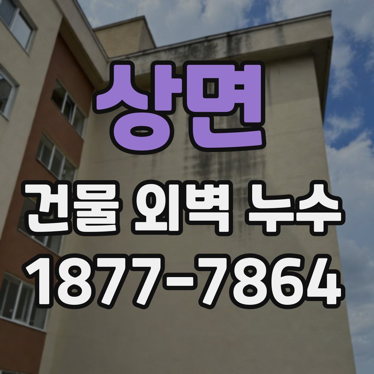상면 건물 외벽 누수