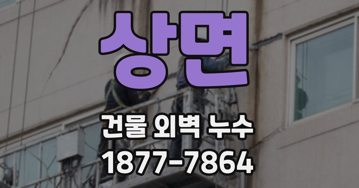 상면 건물 외벽 누수