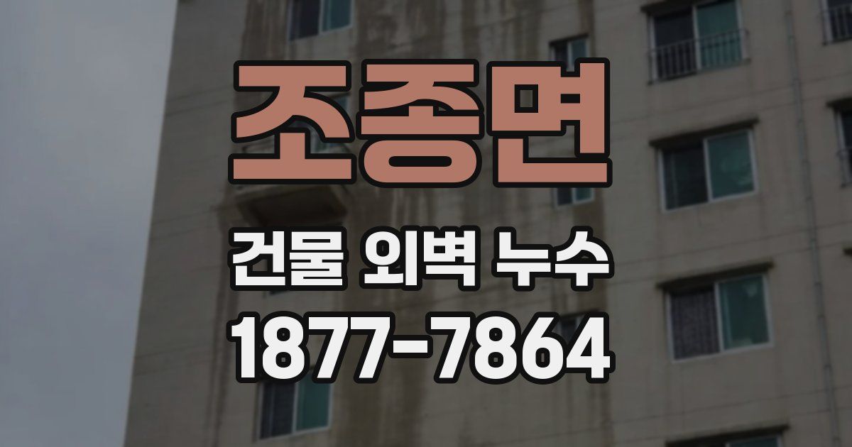 조종면 건물 외벽 누수