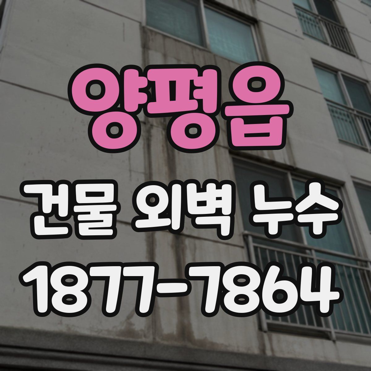 양평읍 건물 외벽 누수