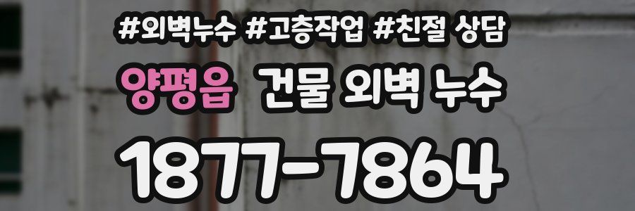 양평읍 건물 외벽 누수