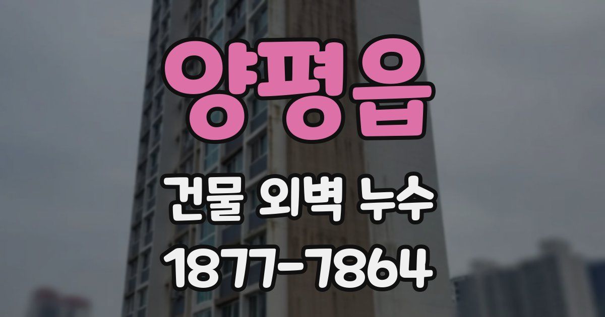 양평읍 건물 외벽 누수