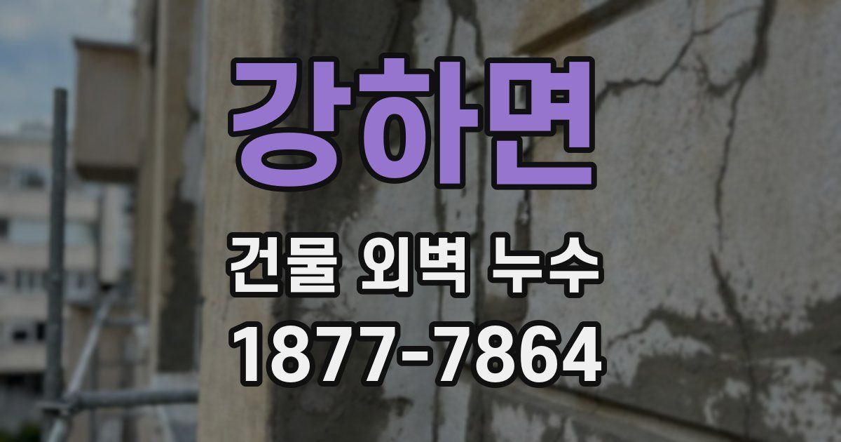 강하면 건물 외벽 누수