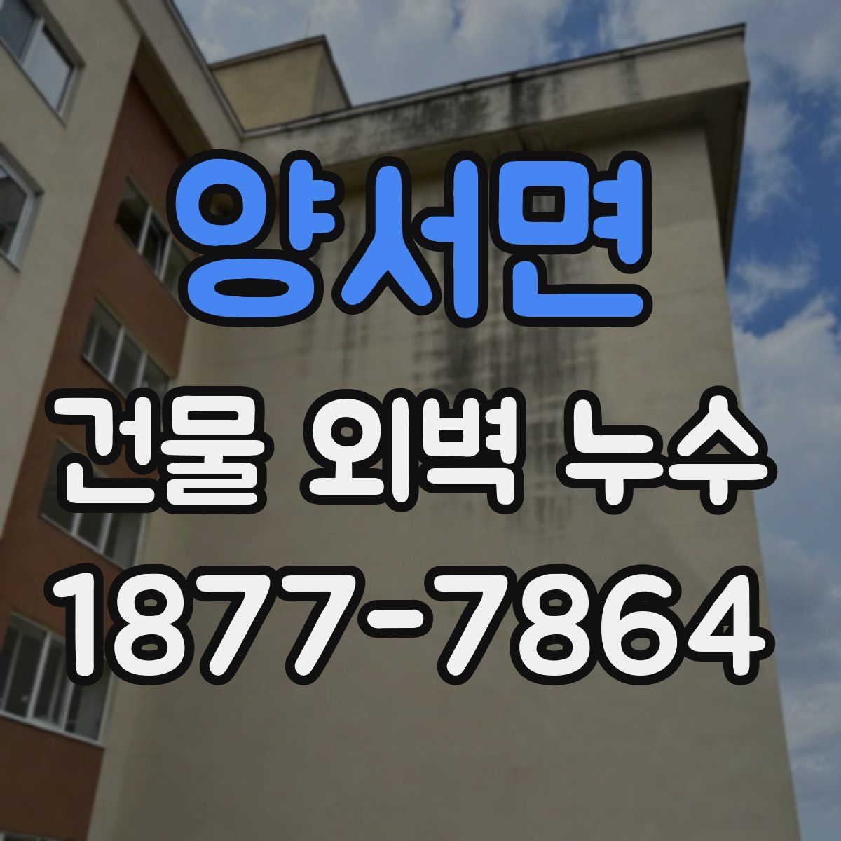 양서면 건물 외벽 누수
