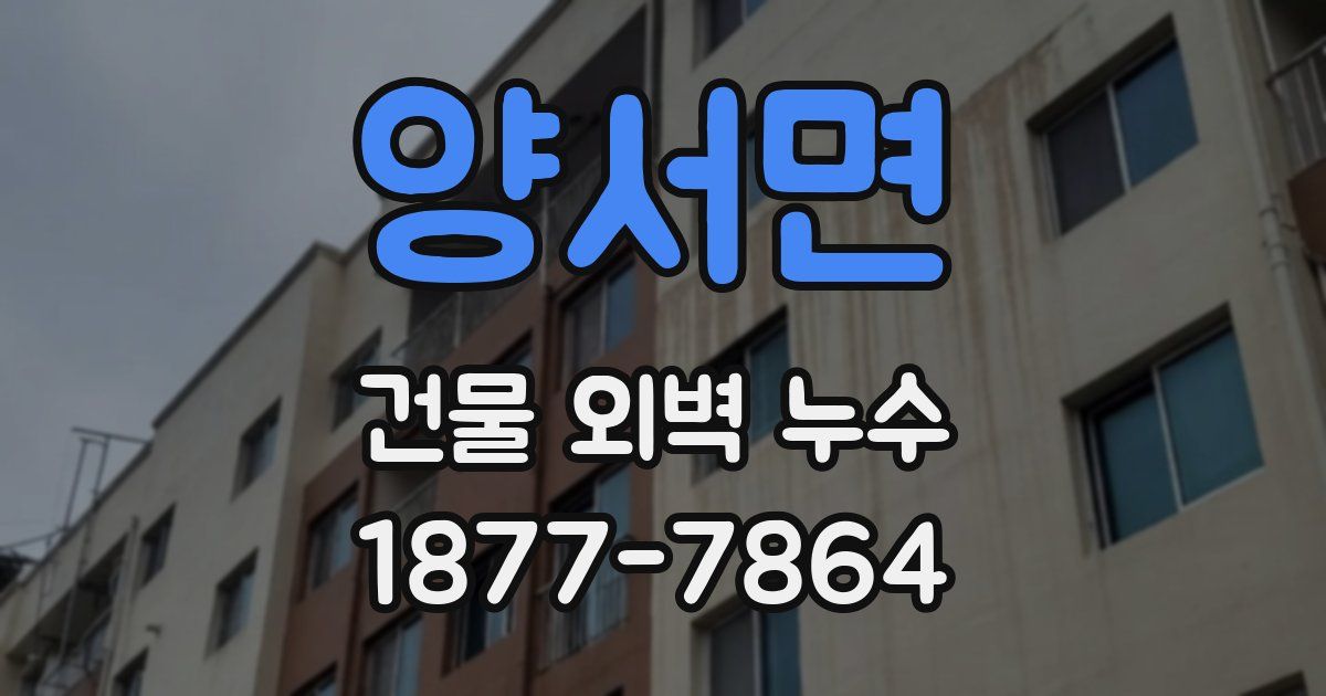양서면 건물 외벽 누수