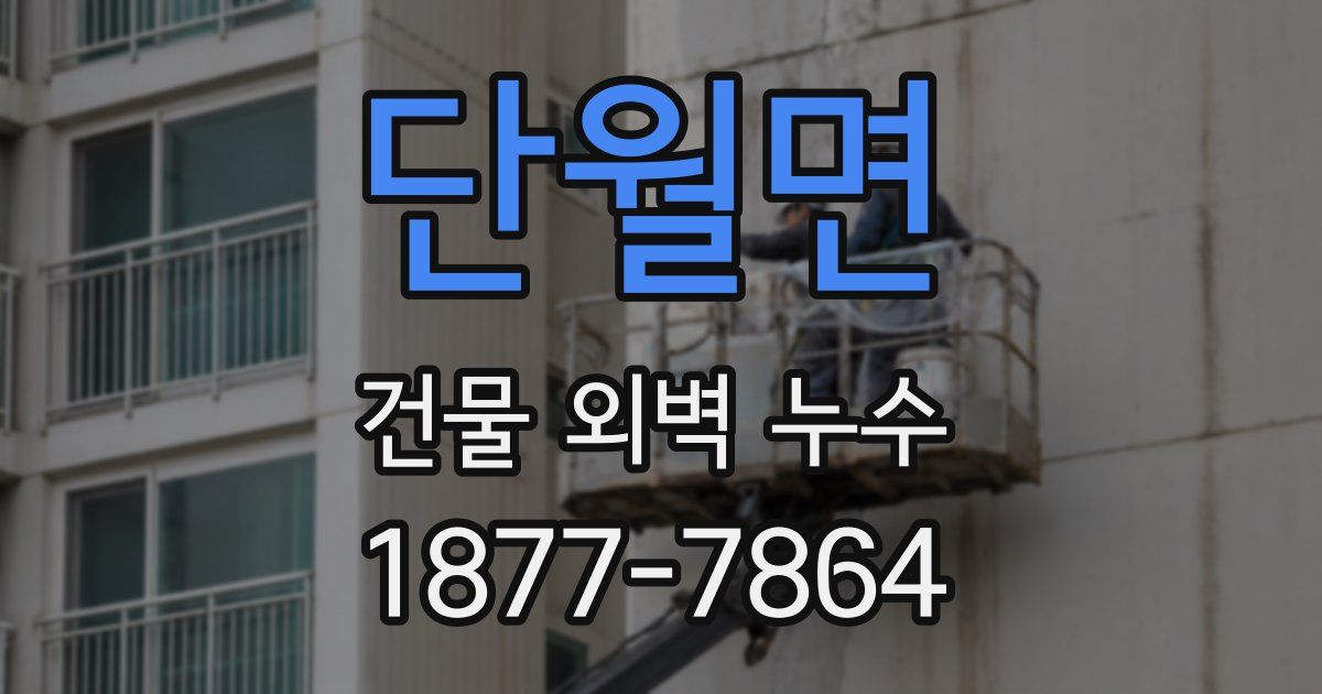 단월면 건물 외벽 누수