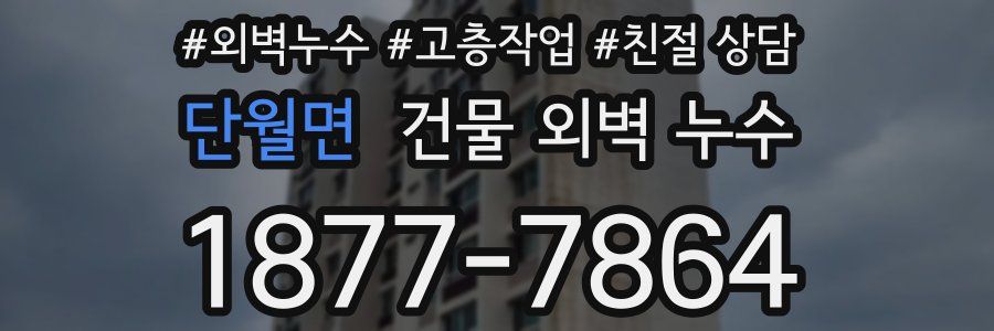 단월면 건물 외벽 누수