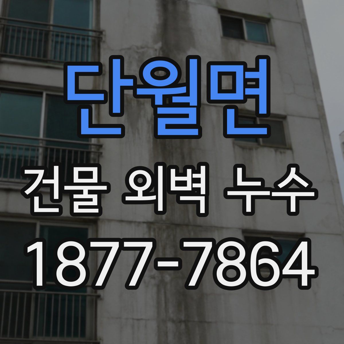 단월면 건물 외벽 누수